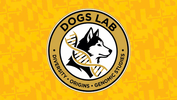 UMBC DOGS Lab Campaign Image