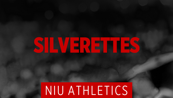 Silverettes - 2026 Campaign Image