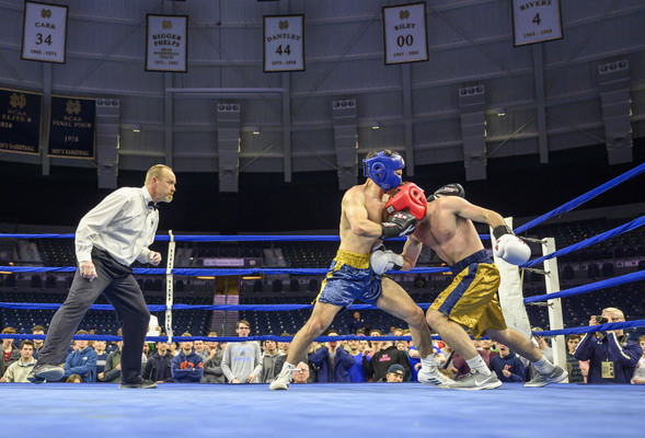 Bengal Bouts 2027 Campaign Image