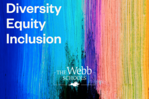 Diversity, Equity, and Inclusion Initiatives