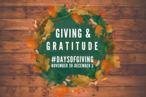 Giving & Gratitude