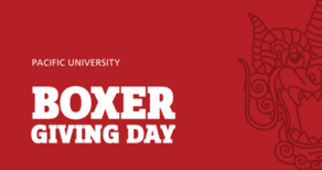 Boxer Giving Day 2022