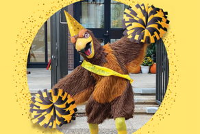 Celebrate FSS on the Falcon's Birthday