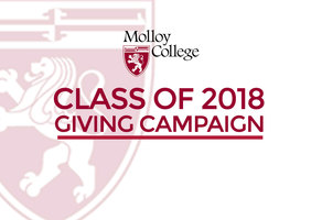 Class of 2018 Giving Campaign