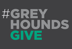 #GreyhoundsGive