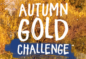 Autumn GOLD Challenge 2018