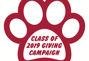 Class of 2019 Giving Campaign