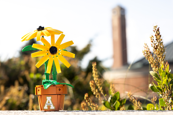 Black-Eyed Susan Building Block Set Campaign Image