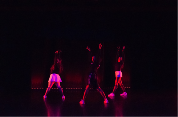 Support the Emory Student Dance Network! Campaign Image