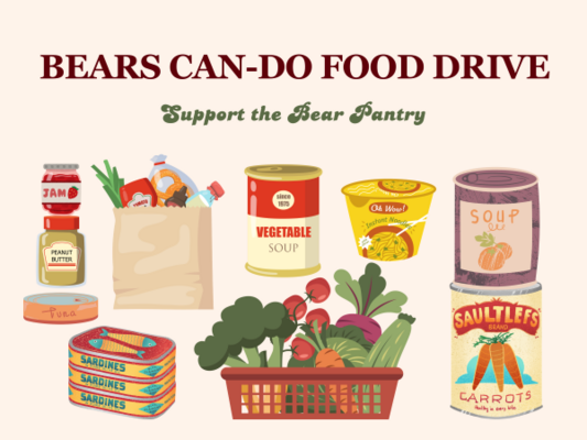 Bears Can Do Donation Drive Campaign Image