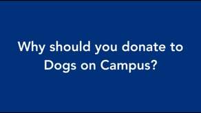 Dogs on Campus Campaign Image