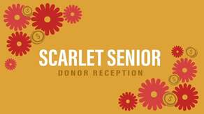 Camden Scarlet Seniors 2019 Campaign Image
