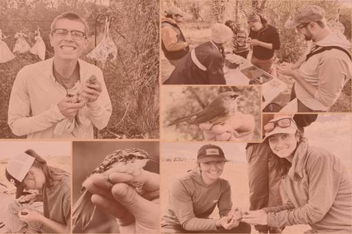 WYOBIRD · GiveCampus