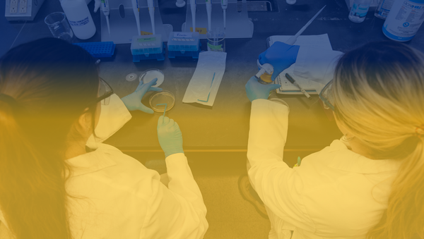 School of Natural Sciences Campaign Image