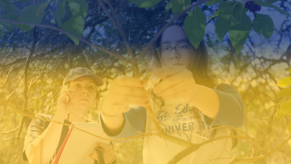 Wild Basin Creative Research Center Campaign Image