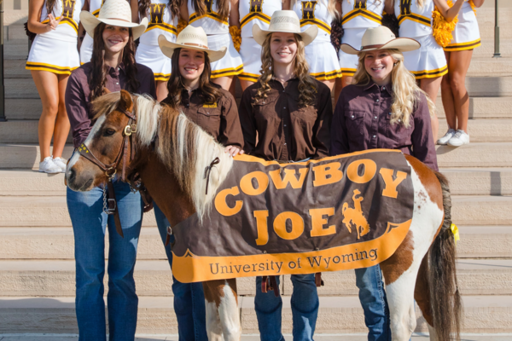 Cowboy Joe Handlers · GiveCampus