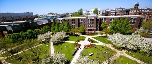 College of Liberal Arts & Social Sciences · GiveCampus